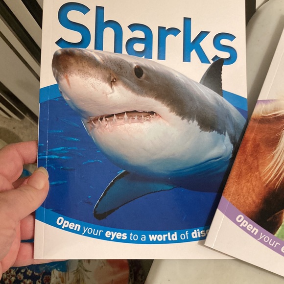 DK Animal Kingdom Set of 4 Animal Books - Picture 4 of 7